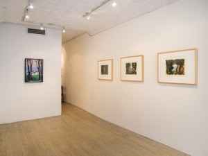 Paul Resika: Through the Trees, Installation view 3