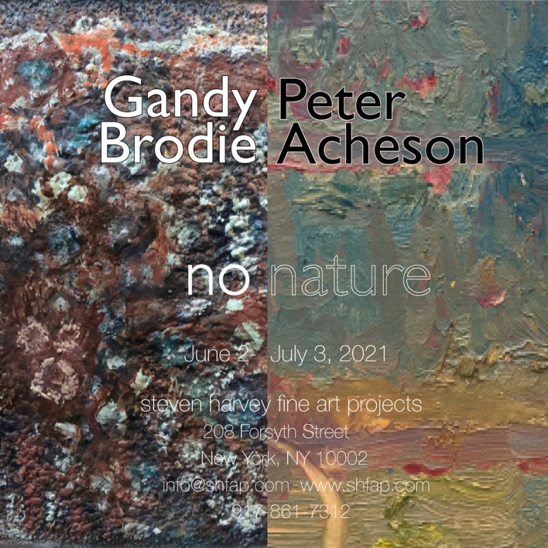 Peter Acheson & Gandy Brodie: No Nature